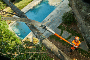 Pole Pruner Manual Telescopic